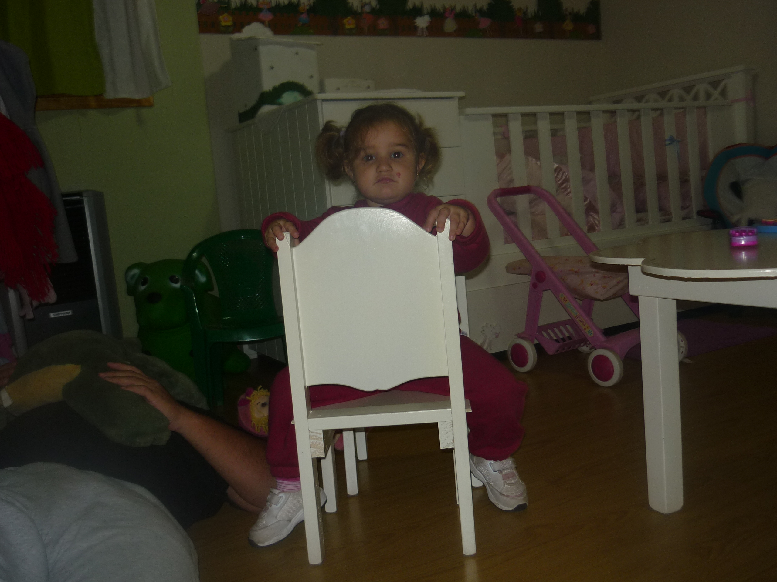 fotos/2012-12-10 - Iara/P1020729.JPG